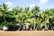 Description : vue plage bunga